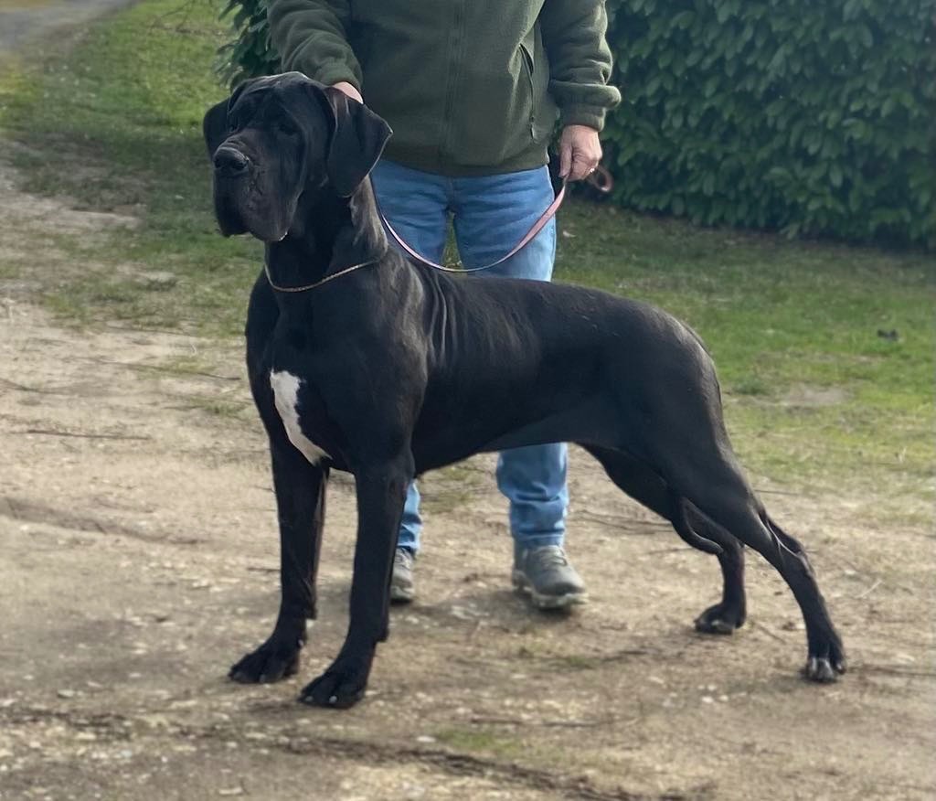 Tahiavaiheiani Des Terres De Romandor